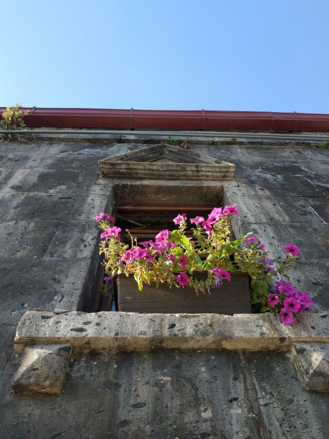 Hye Aspet Հայ Ասպետ Bed & Breakfast Ghiumri Exterior foto